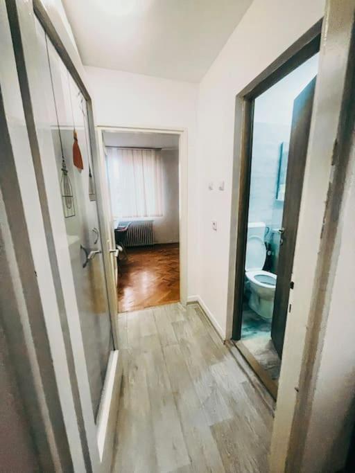 Ultracentral Big Flat Near The Opera Square P17 Тимишоара Экстерьер фото
