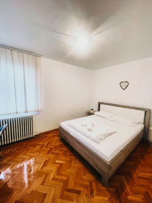 Ultracentral Big Flat Near The Opera Square P17 Тимишоара Экстерьер фото