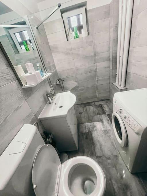 Ultracentral Big Flat Near The Opera Square P17 Тимишоара Экстерьер фото