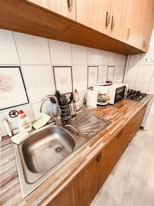 Ultracentral Big Flat Near The Opera Square P17 Тимишоара Экстерьер фото