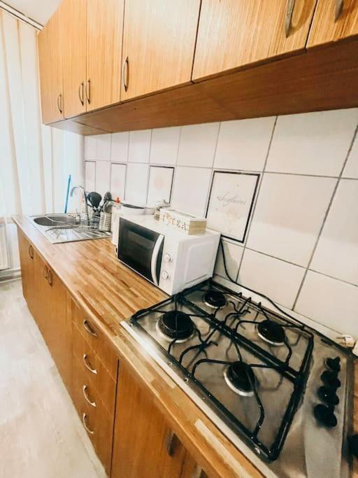 Ultracentral Big Flat Near The Opera Square P17 Тимишоара Экстерьер фото
