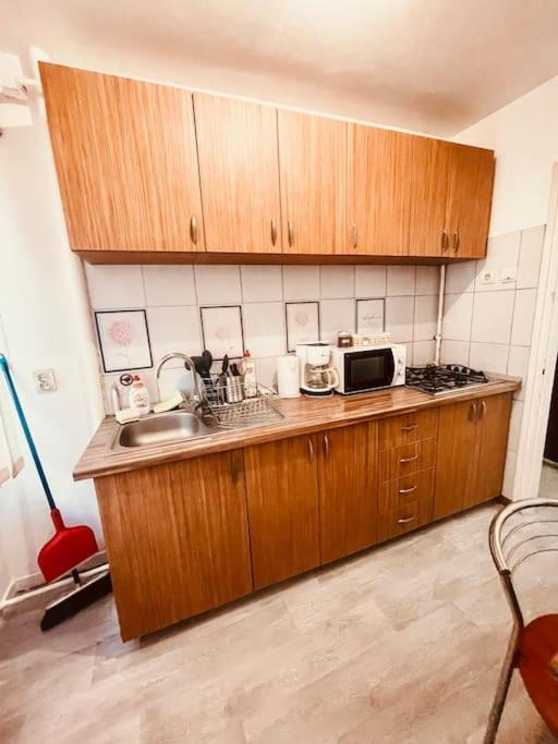 Ultracentral Big Flat Near The Opera Square P17 Тимишоара Экстерьер фото